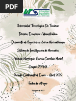 PDF Documento