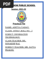 PDF Document