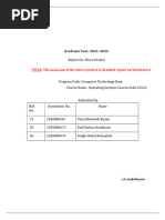 PDF Document