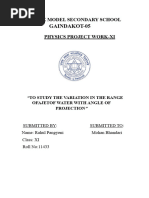 PDF Document
