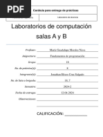 PDF Documento