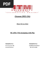 PDF Document