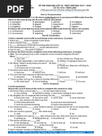 PDF Document
