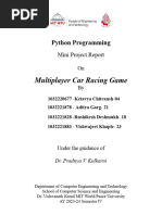 PDF Document