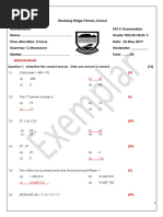 PDF Document