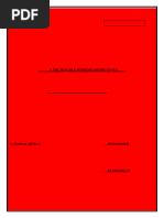 PDF Document