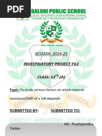 PDF Document