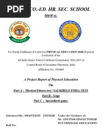 PDF Document