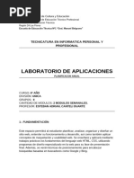 PDF Documento