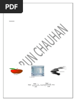 PDF Document