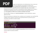 PDF Documento
