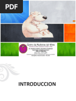 PDF Documento