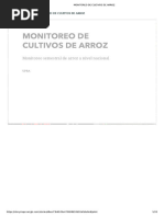Monitoreo de Cultivos de Arroz - Colombia Upra