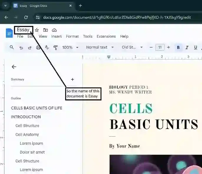 Save your Document
