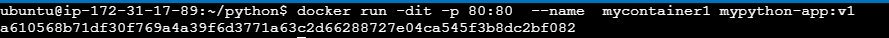 Run_a_Python_based_Docker_Container