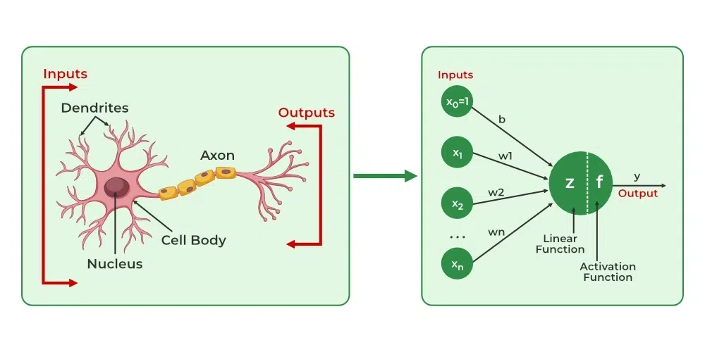 Artificial-Neural-Networks