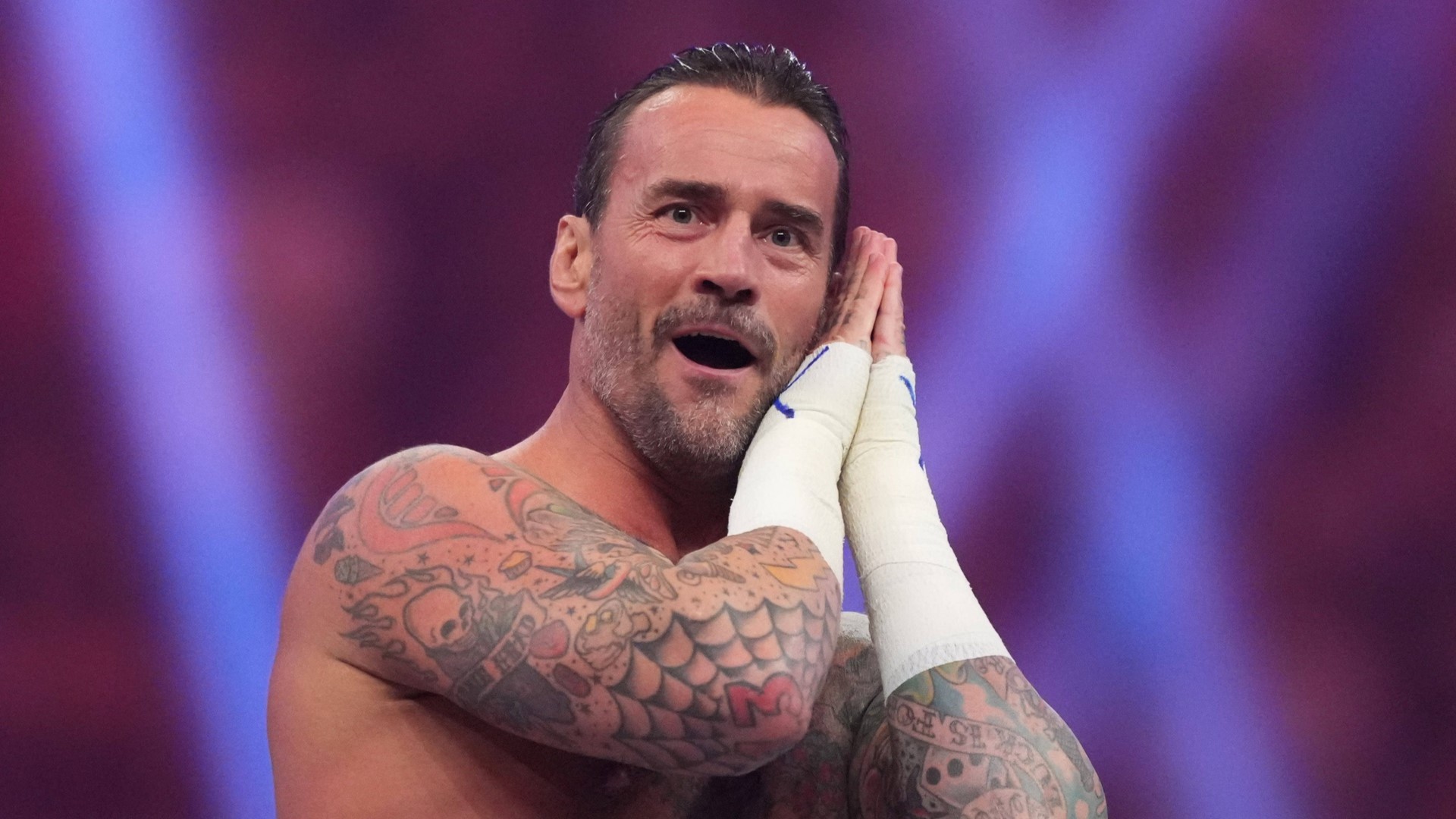WWE superstar CM Punk