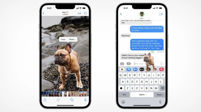 Apple iOS visual lookup on smartphone