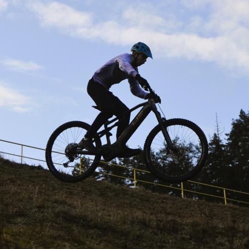 E-BIKES